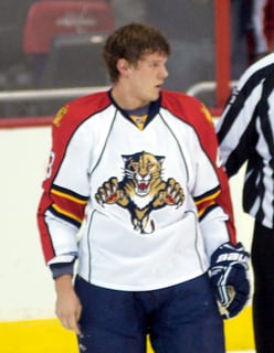 Picture of Dmitry Kulikov