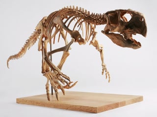 Picture of Psittacosaurus