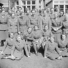 Picture of Auxiliary Territorial Service