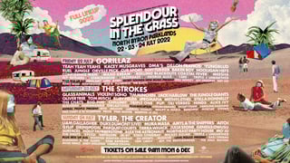 Picture of Splendour in the Grass