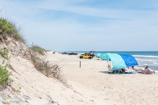 Picture of Cape Hatteras National Seashore