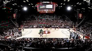 Picture of Maples Pavilion