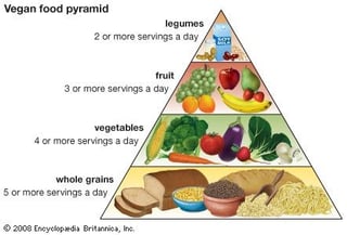 Picture of Veganism