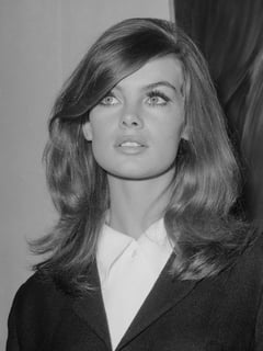 Picture of Jean Shrimpton