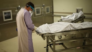 Picture of Medical examiner