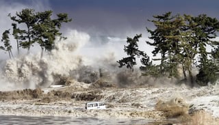 Picture of Tsunami