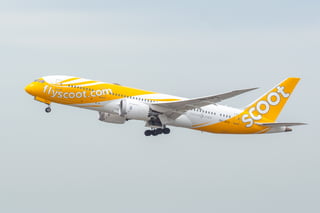 Picture of Scoot