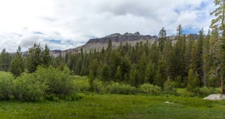 Picture of Tahoe National Forest