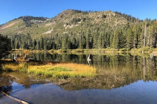 Picture of Plumas National Forest