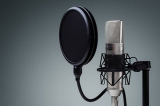Picture of Voice-over