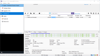 Picture of Torrent file