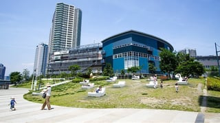 Picture of Toyosu