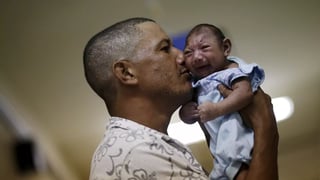Picture of Zika virus