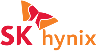 Picture of SK Hynix