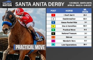 Picture of Santa Anita Derby