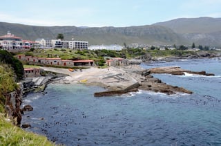 Picture of Hermanus