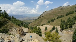 Picture of Tirah