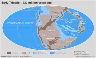 Picture of Late Triassic