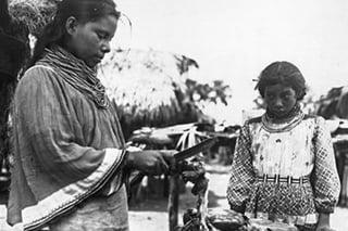 Picture of Miccosukee