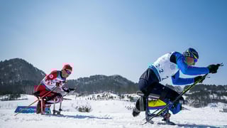 Picture of Winter Paralympic Games