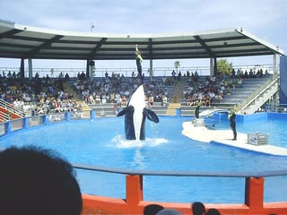 Picture of Miami Seaquarium