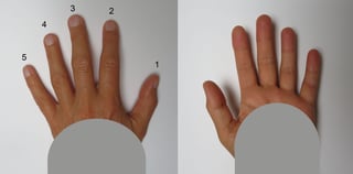 Picture of finger