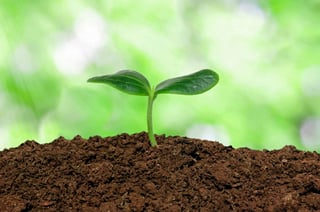 Picture of Soil
