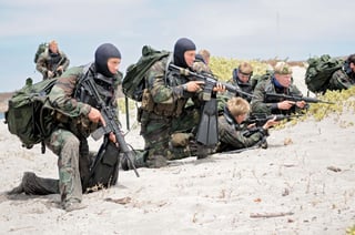 Picture of United States Navy SEALs