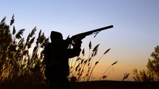 Picture of Hunting