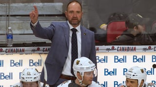 Picture of Peter DeBoer
