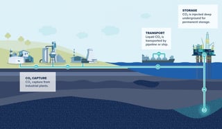 Picture of Carbon capture and storage