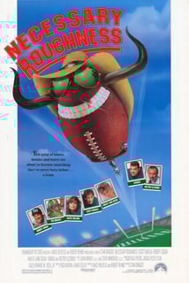 Picture of Necessary Roughness