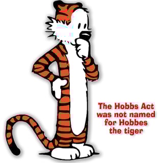 Picture of Hobbs Act