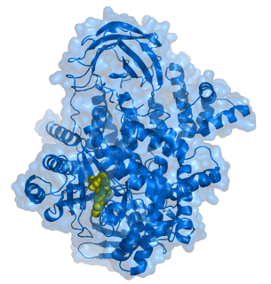 Picture of Phosphoinositide 3-kinase