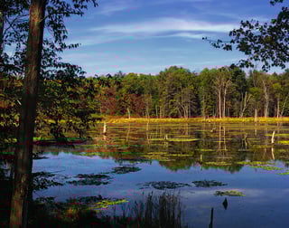 Picture of Dimock Township