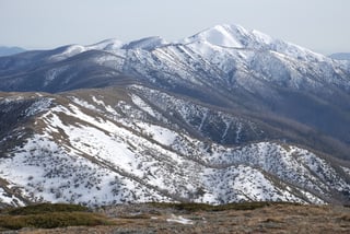 Picture of Victorian Alps