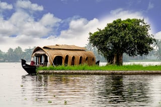 Picture of Alappuzha