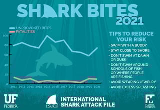Picture of International Shark Attack File