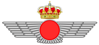 Picture of Spanish Air and Space Force