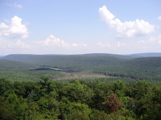 Picture of Rothrock State Forest