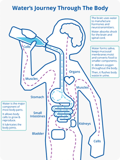 Picture of Urine