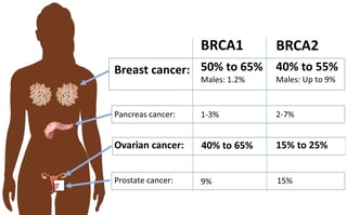 Picture of BRCA mutation