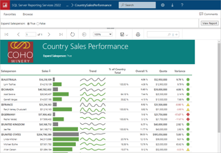 Picture of SQL Server Reporting Services