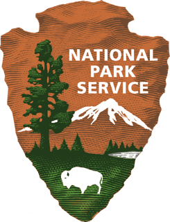 Picture of National forest