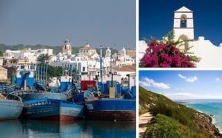 Picture of Barbate