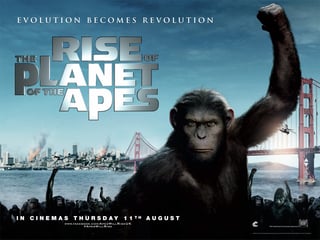 Picture of Rise of the Planet of the Apes