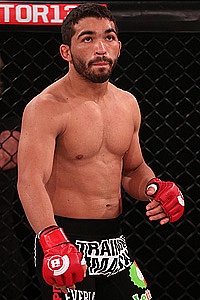 Picture of Patrício Pitbull