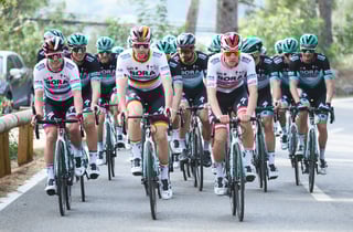 Picture of Bora–Hansgrohe