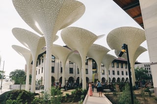Picture of Blanton Museum of Art