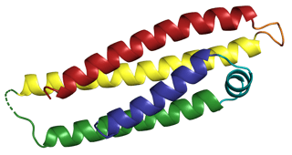 Picture of Apolipoprotein E